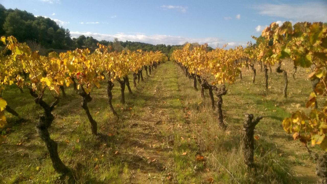 Domaine D'Azeou ξενώνας Laure-Minervois Εξωτερικό φωτογραφία