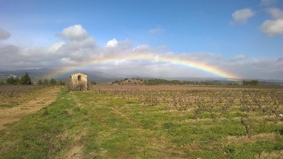 Domaine D'Azeou ξενώνας Laure-Minervois Εξωτερικό φωτογραφία