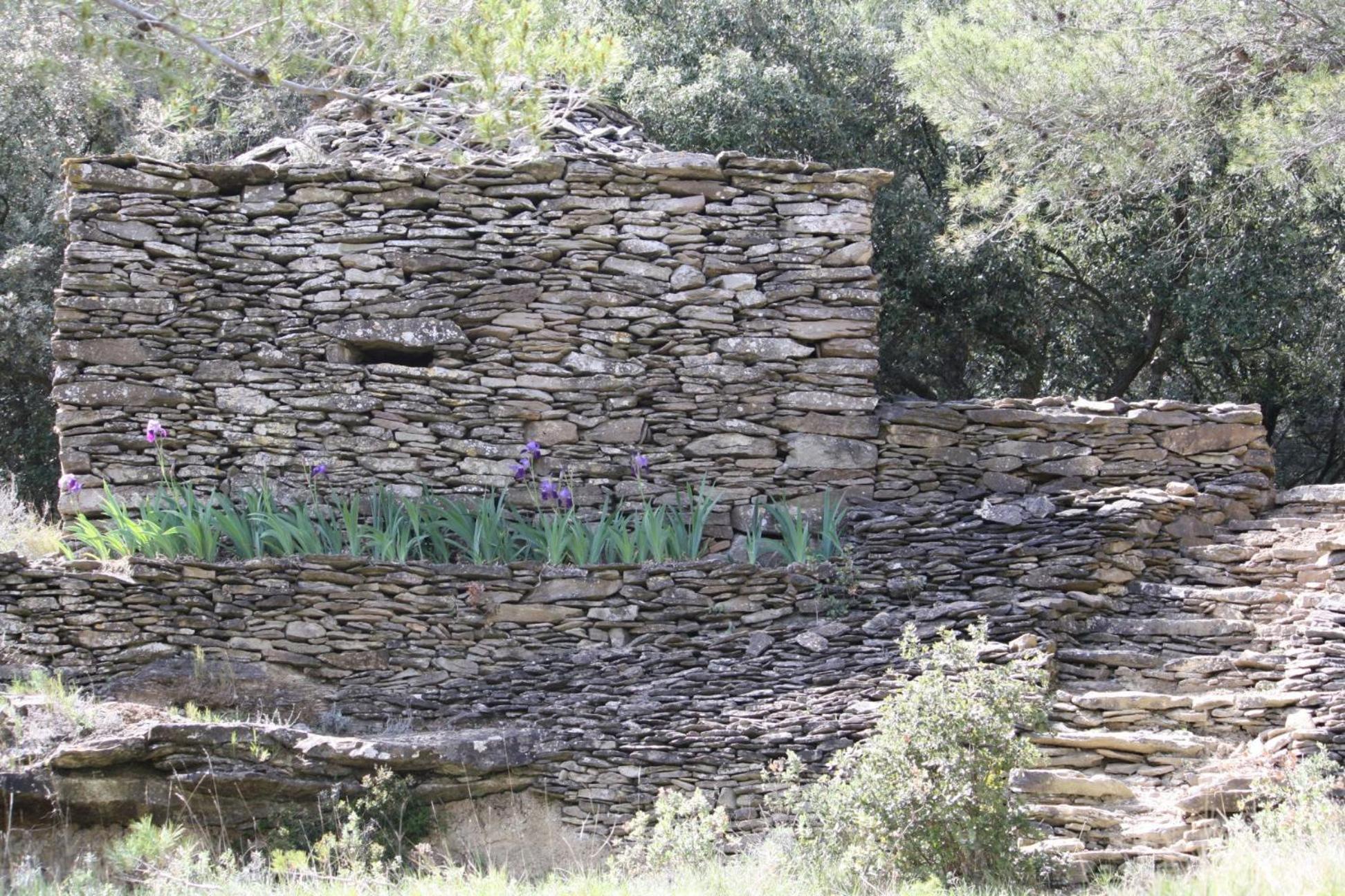 Domaine D'Azeou ξενώνας Laure-Minervois Εξωτερικό φωτογραφία